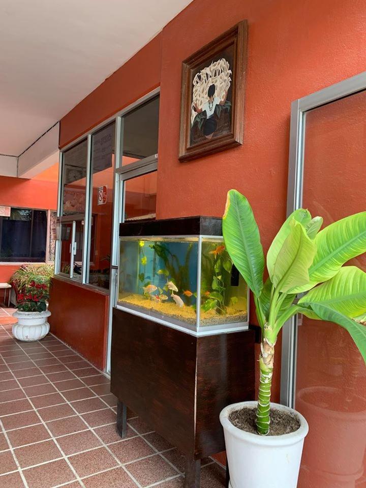 Hotel Bahia De ลาปาซ ภายนอก รูปภาพ